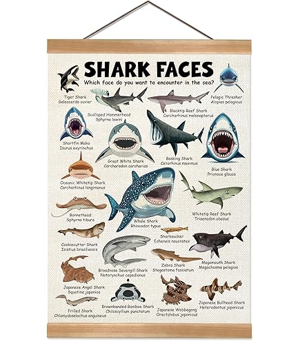 ★レア★THE WORLD MOST DANGEROUS SHARKS ポスター ☆レア☆THE WORLD MOST DANGEROUS SHARKS ポスター